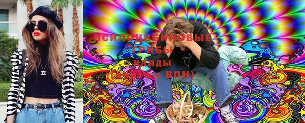 тгк Аркадак