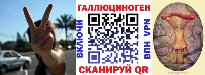 Псилоцибиновые грибы Psilocybe  kraken рабочий сайт  Городовиковск  где можно купить наркотик 